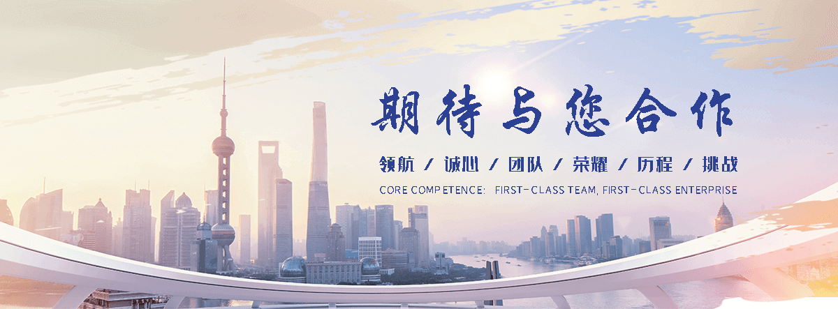 仙桃海狮租赁公司